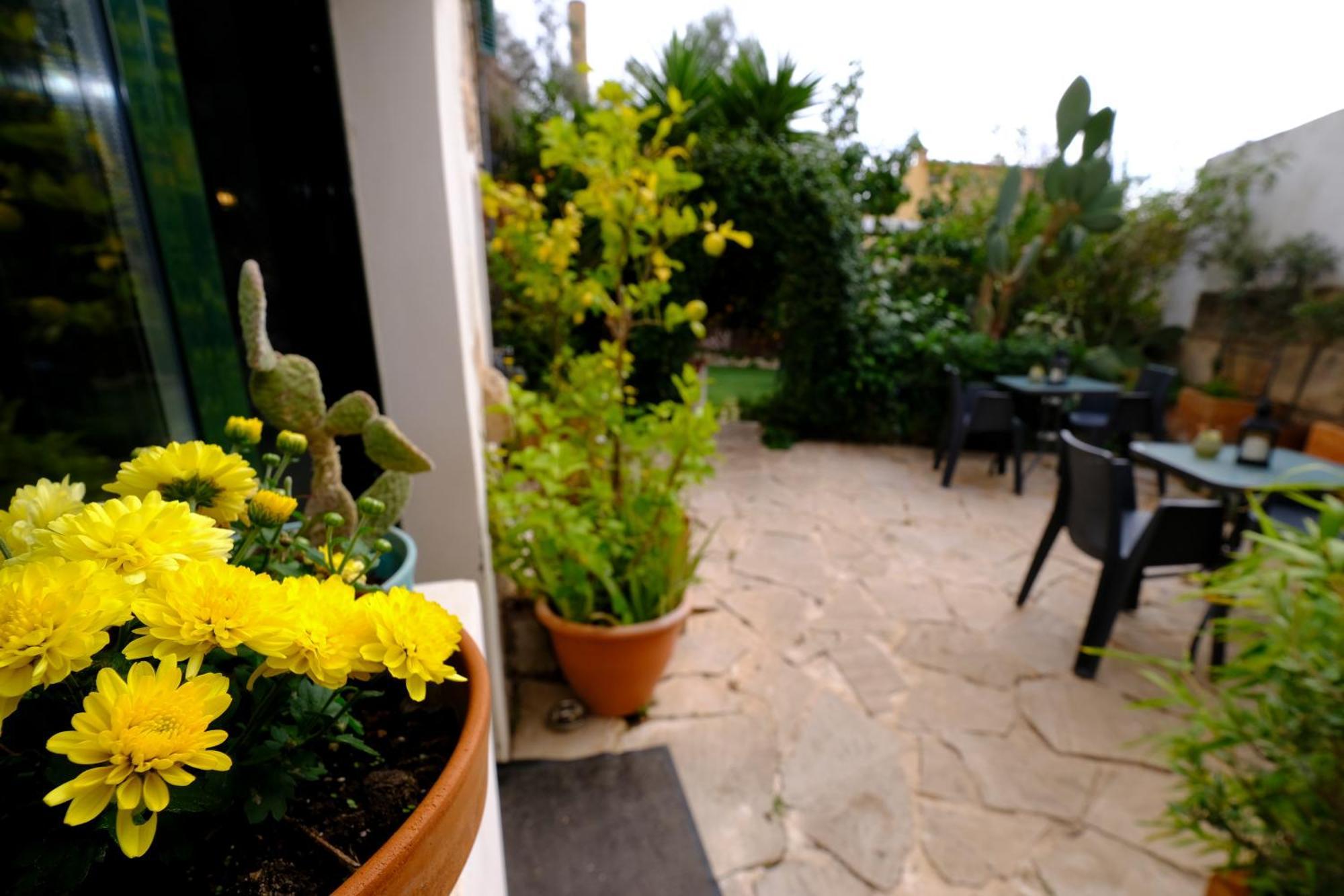 Casa Caimari Guest House, For Mountain Lovers! Buitenkant foto